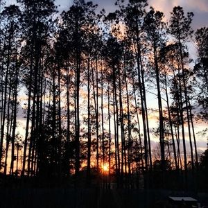 Meet your Posher, Ella